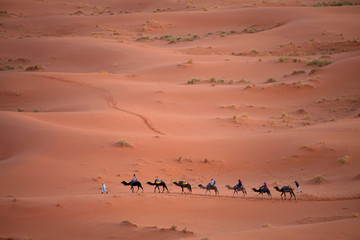 Fototapeta na wymiar Caravan in Sahara desert Morocco