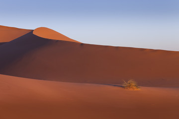 Fototapeta na wymiar Moroccan desert dune background. Blue sky