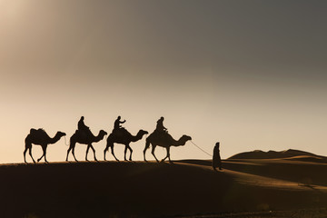 Desert, Camel Ride, Enjoying and happy People