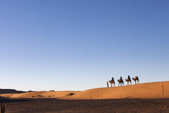Desert, Camel Ride, Enjoying and Happy People
