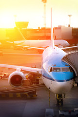 airport © Mikael Damkier