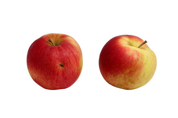 two Ukrainian red apples