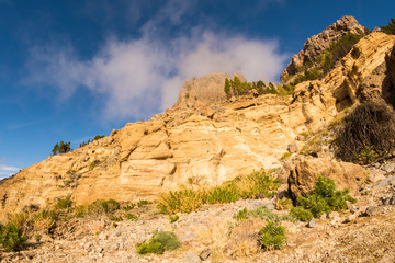 Fototapeta premium Felsen im Gebirge Teneriffas