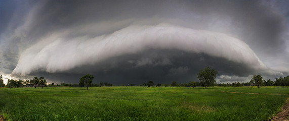Arcus cloud over the rice field