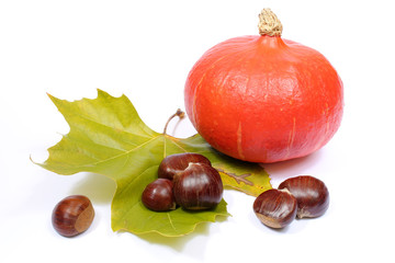 Potimarron, marrons
