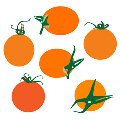 Tomato vector