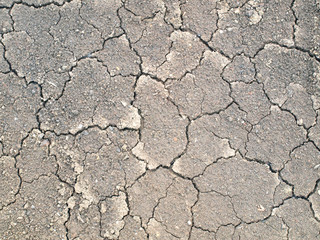 Barren ground horizontal