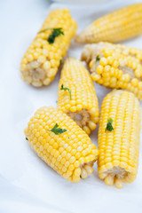 Steamed corn on the cob