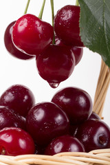 Basket with ripe cherry, currants and gooseberries isolated on w