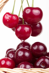 Basket with ripe cherry, currants and gooseberries isolated on w