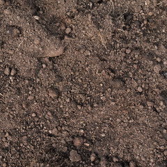 Fragment of an earth soil texture