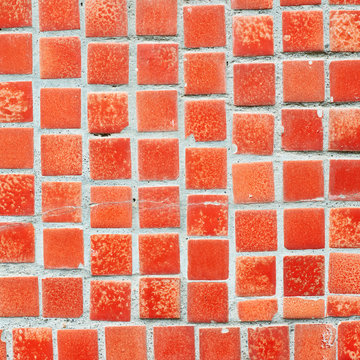 Floor ceramic squared tiles