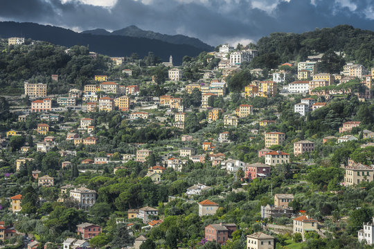 Vista da San Rocco di Camogli
