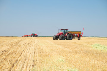 Fototapeta premium seeder