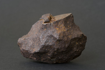 Metallic iron meteorite. 6cm across.