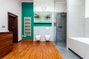 Fototapeta na wymiar Modern bathroom with cyan elements