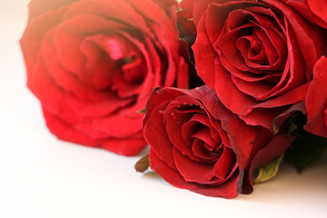 Fototapeta na wymiar Red roses bouquet isolated on white background
