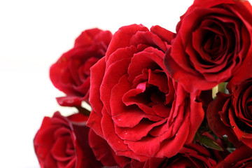 Red roses bouquet isolated on white background