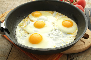 oeufs 