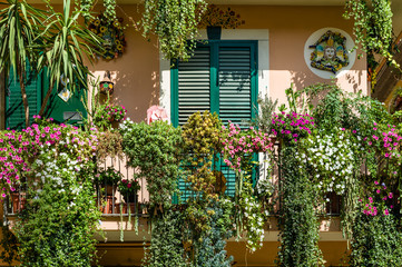 Fototapeta na wymiar Traditional Italian house decorated by flowers