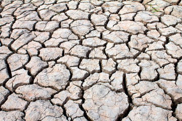 dried soil ,crack in the land