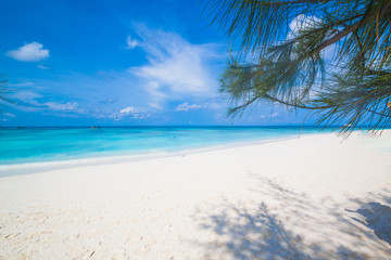 Fototapeta na wymiar White sand beach of Andaman Sea in Tachai island - Thailand