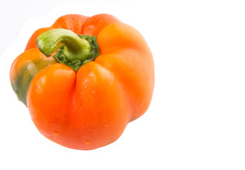 Orange capsicum on white background