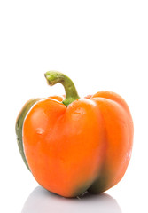Orange capsicum on white background