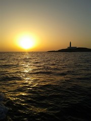 Faro