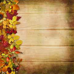Autumn leaves and berries on a wooden background