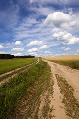Fototapeta na wymiar small not asphalted road in rural areas
