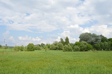 Русское поле