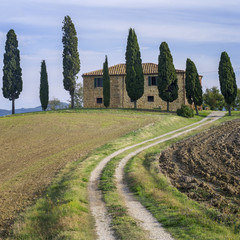 road and trees with old villa in Tucson