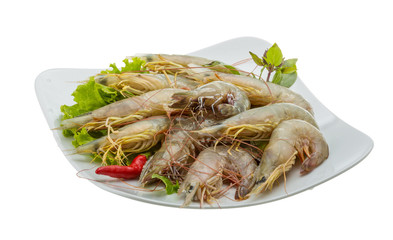 Raw tiger shrimps