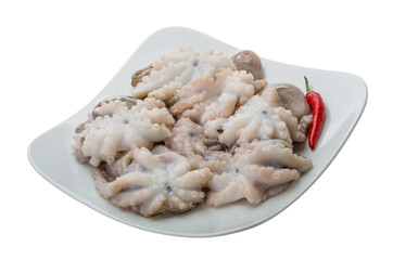 Raw octopus