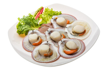 Raw fresh scallop