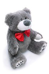Gray teddy bear on a white background