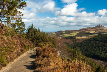 Wicklow Mountains National Park
