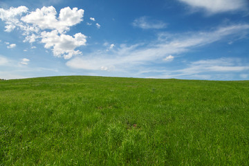 Field, blue sky and clouds