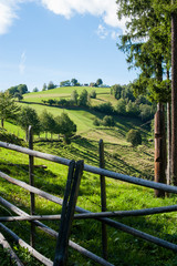 Steirisches Weideland