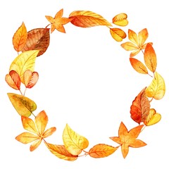 watercolor leaves round frame. Vector
