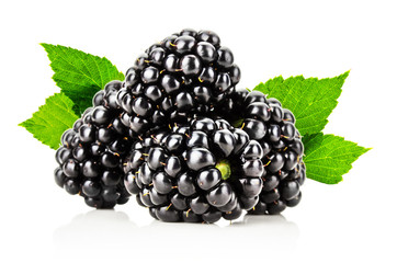 juicy blackberry isolated on the white background