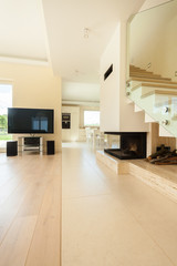 Modern house with open space