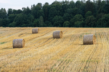 Bales