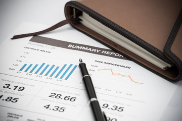 Showing business and financial report. Accounting