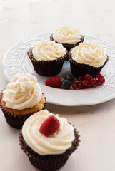 Delicious Cupcake