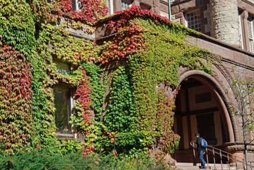 Fototapeta na wymiar college building with colorful fall ivy