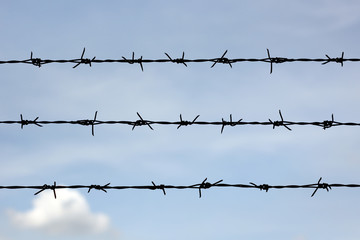 barbed wire