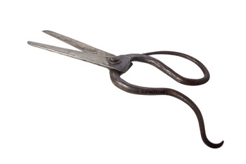 tailor scissors