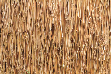 thatch roof
